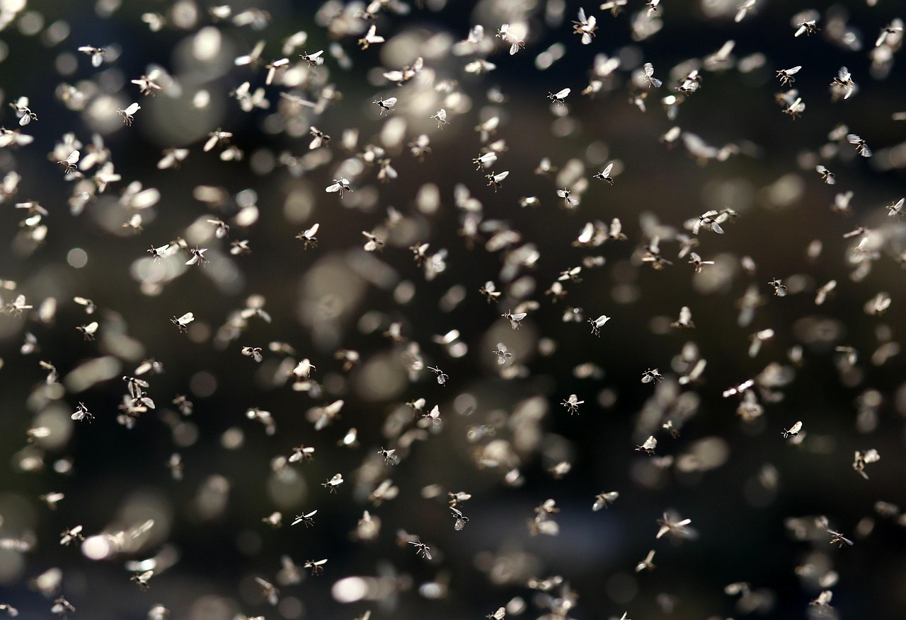 d&eacute;couvrez comment les technologies &eacute;mergentes peuvent maximiser le retour sur investissement (roi) pour les pme, en optimisant leurs op&eacute;rations et stimulant leur croissance.