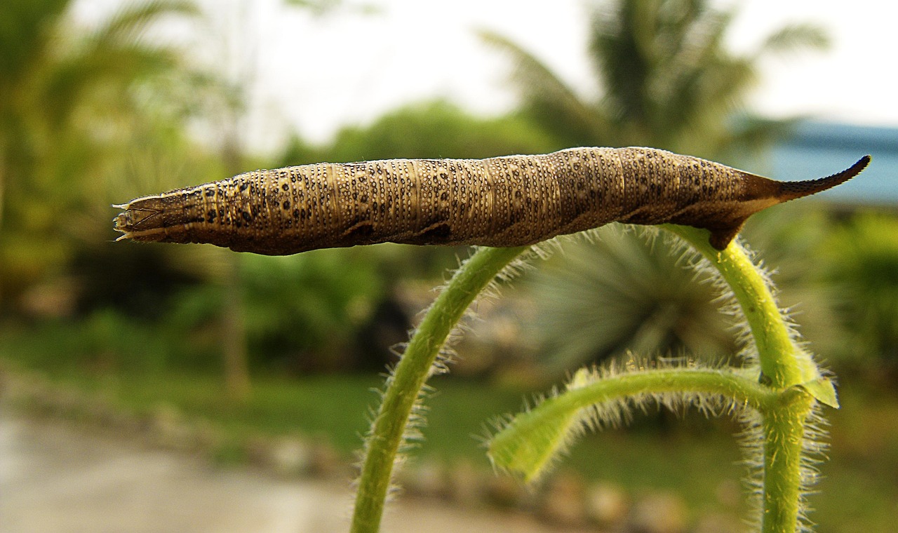 g482444dcd194fa706bc286f1d1649b62d8c609627f56f48b1e1d0d96e6eb759800646e3f013e3153d6aec55d50ec1042 1280